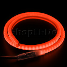 Гибкий Неон LED SMD, форма - D, красный, 120 LED/м,  бухта 100м